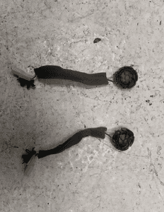 JAGUAR XF X250 XJ X351 GŁOŚNIK GŁOŚNIKI ZESTAW KOMPLET PRZÓD PRZEDNI TYŁ TYLNY ORYGINAŁ 3