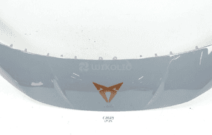 Atrapa grill zderzaka przód cupra born 2021- 3