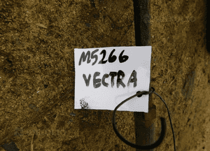 vectra C maglownica przekładnia nr M5266 WYSYŁKA 2