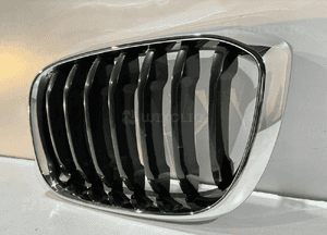 BMW X3 G01 / X4 G02 Grill / Nerka / Lewa - 14601 3