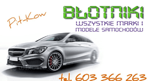 CHEVROLET SPARK 09-18 NOWY ORYGINAL BLOTNIK LEWY 2