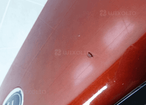 Ford fiesta MK8 zderzak przód przedni H1BB-17757-A 11