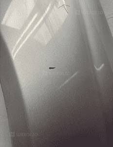 Blotnik lewy przod mercedes clk W209 org 5
