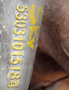 PEUGEOT 508 308 II CITROEN C4 FORD MONDEO MK5 2.0 HDI TDCI TURBOSPRĘŻARKA 53031015184 5