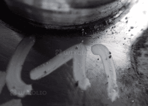 POMPA VACUM VW SKODA AUDI 2.0TDI 03G145209 RADOM 4