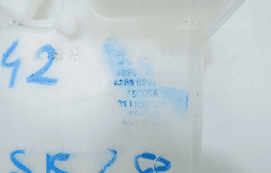 ZBIORNICZEK SPRYSKIWACZY DS3 208 II 9820843880 4