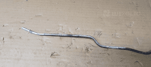 Zawór zaworek podciśnienia Citroen C5 III 2.0 HDI 9661960380 3