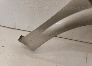 Renault Megane II 02-08 BŁOTNIK PRAWY PRZÓD PRZEDNI 4