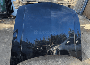 Honda Accord VIII  maska       NH731P 1
