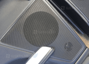 Boczki drzwi komplet Harman Kardon RANGE ROVER SPORT LIFT 2009-13 6