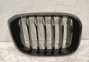 Atrapa gril nerka prawa bmw X3 G01 X4 G02 17- 1