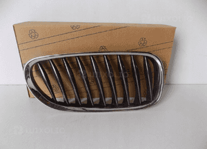 BMW Z4 E85/E86 Grill/Nerka Prawa - 3866 1