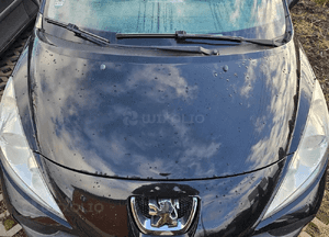 Peugeot 207  maska EXLD
