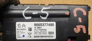 Moduł sterownik GSM Citroen C5 III 9665377480 4