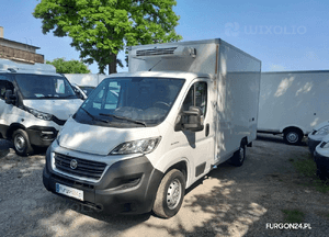 Kontener izoterma chłodnia thermo king V300 nr 622 4