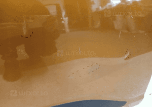 Drzwi prawe przednie prawy przód dacia sandero iii 3 21- 5