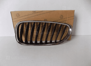 BMW Z4 E85/E86 Grill / Nerka Lewa - 3865 1