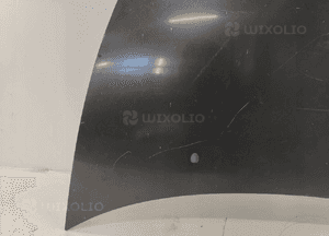 Citroen c3 I 02-09 MASKA POKRYWA SILNIKA 4