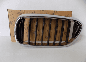 BMW 5 G30/G31 Nerka / Grill zderzaka lewa - 3829 5