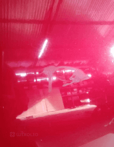 Drzwi prawy przód przednie prawe Citroen C5 III KKQD 4