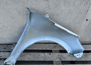 BLOTNIK PRZOD PRZEDNI LEWY FORD FIESTA MK8 ACTIVE 5