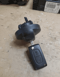 Zestaw startowy Peugeot 9659285480 9659741780 BSM 2