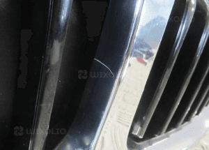 Grill gril atrapa wlot nerki bmw 1 F40 2019- 6