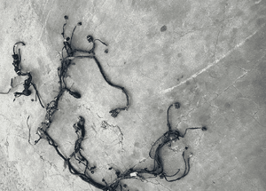 MERCEDES c 204 e 212 e 207 wiązka elektryczna z fartucha do lamp lewa prawa abs h7 LIFT  LED 1