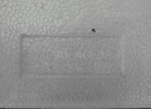 Absorber zderzaka przód x-trail T32 62090-4CE0A nowa oryginał 4