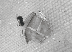 Zbiorniczek 1J0422371B 1J0422371C 1J0422376A Zbiornik Plynu Oleju Wspomagania Korek Miarka VW Golf IV 4 Seat Leon I 1 Skoda AUDI 18