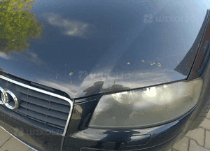 Audi A3 8P maska  LZ7L 2