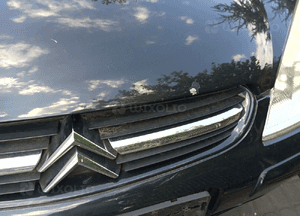 Citroen C5 I  maska EXLD 2