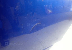 Drzwi prawe tylne prawy tył toyota chr ch-r 2016- 2