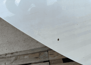 Drzwi tyl tylne prawe renault zoe 2013- ladne org 4