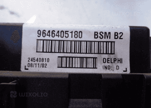 BSM B2 9646405180 Citroen Peugeot 3