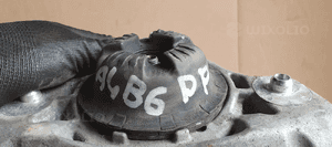 Amortyzator prawy sprężyna przód Audi A4 B6 8