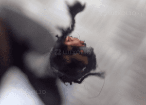 LUSTERKO LEWY PRZÓD AUDI TT 5 PIN RADOM 3