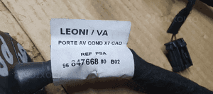 Wiązka instalacja drzwi prawy przód Citroen C5 III UK 9684766880 5