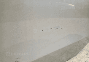 Drzwi lewe tylne lewy tył skoda octavia iv 4 5E7 kombi 20- 6