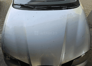 Seat Ibiza Cordoba  6L maska LS7Y