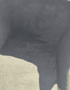 BMW E81 DYWAN PRZEDNI PRZÓD 6