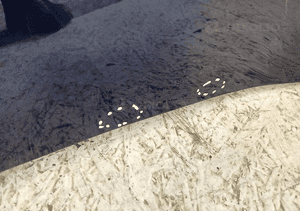 BŁOTNIK PRAWY PRZÓD PRZEDNI AUDI A4 B9 8W LIFT 2019- 2