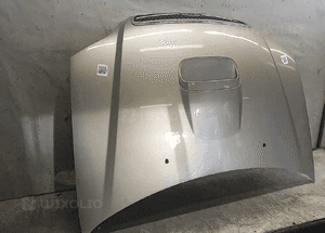 ) MASKA POKRYWA SILNIKA KIA SEDONA CARNIVAL LIFT FL WLOT ZŁOTA PIASKOWA 2
