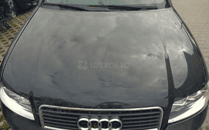 Audi A4 B6 maska grill LZ9W 1