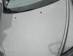Volvo S40 V50 maska  462-46 2