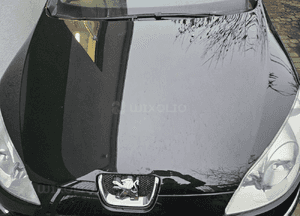 Peugeot 407 maska EXLD 2