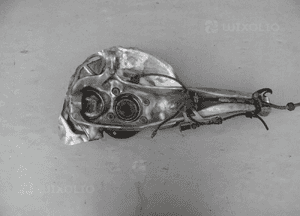 ZWROTNICA PIASTA PRAWA PRZÓD AUDI Q7 II TOUAREG CAYENNE 7P 3