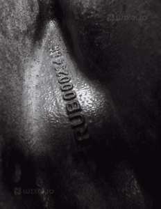 LAND ROVER DISCOVERY 3 L319 RANGE ROVER SPORT L320 ZWROTNICA Z PIASTĄ PRZÓD PRZEDNIA LEWA 7