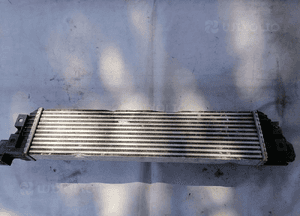 Intercooler Renault Master 3 III Movano 144969388R 2