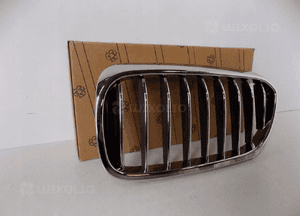 BMW G30/G31 Nerka / Grill zderzaka L - 3832 2